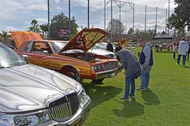 Azalea Classic Car Show