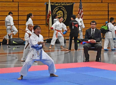 Karate Tournament