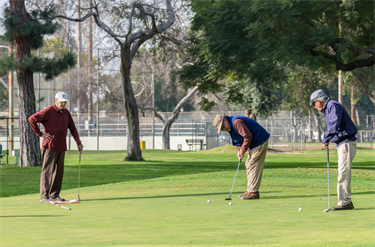 golf course.png
