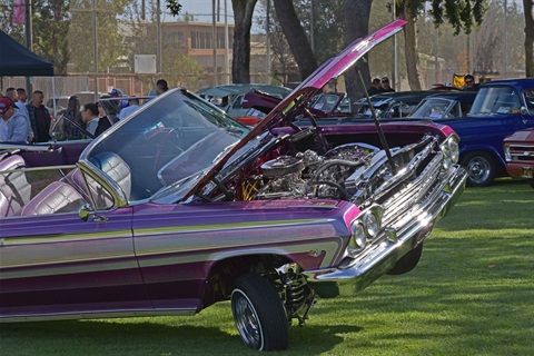 Azalea-Classic-Car-Show-5.jpg