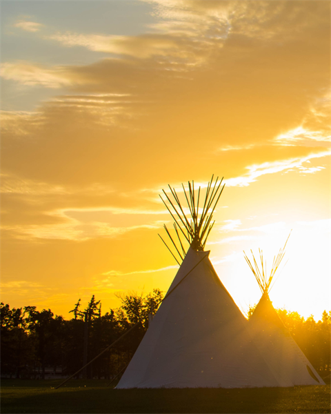 Indigenous People's Day.png