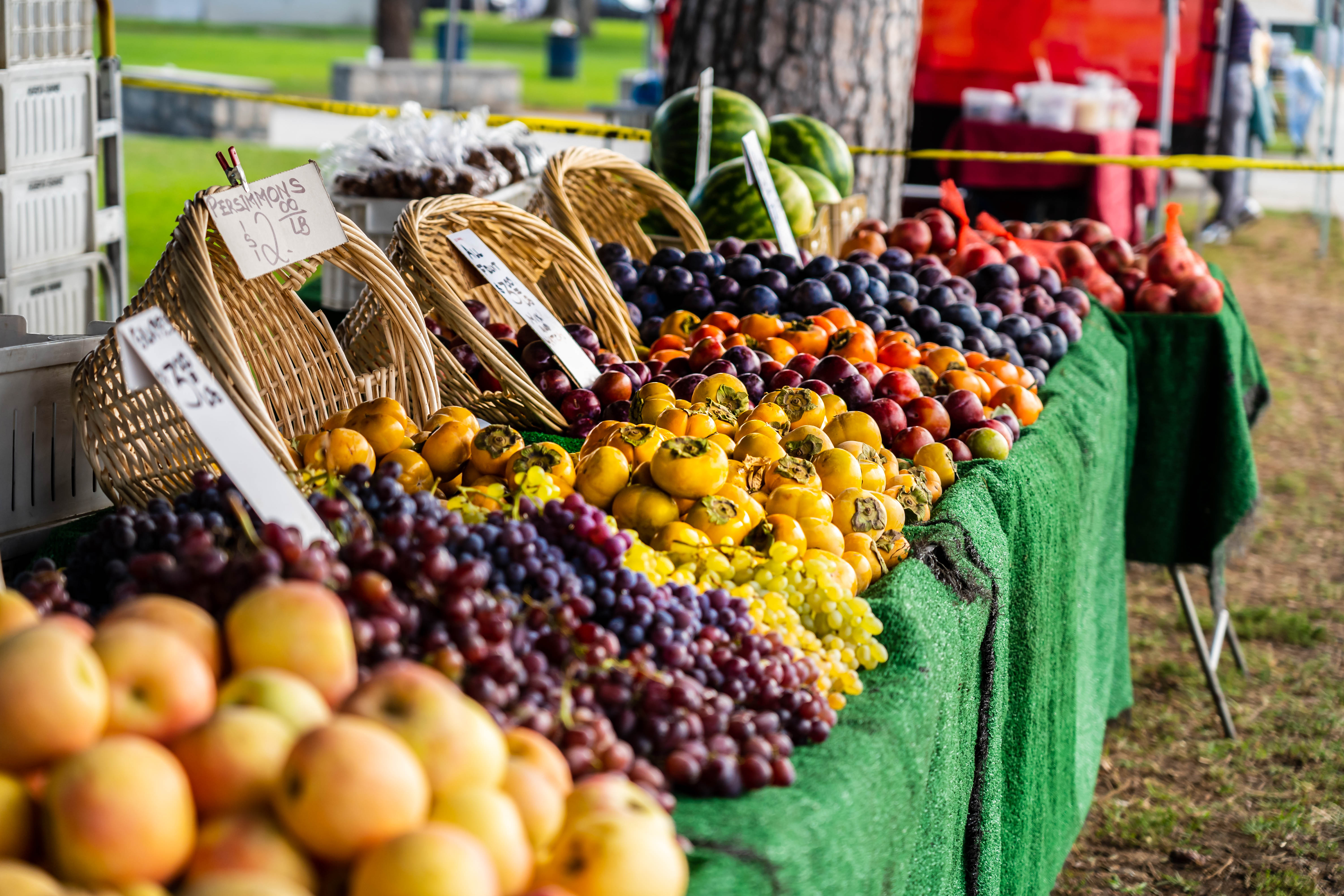 South Gate Farmers Market at South Gate Park
