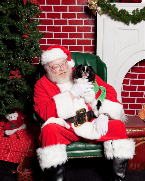 Santa Paws (4).png