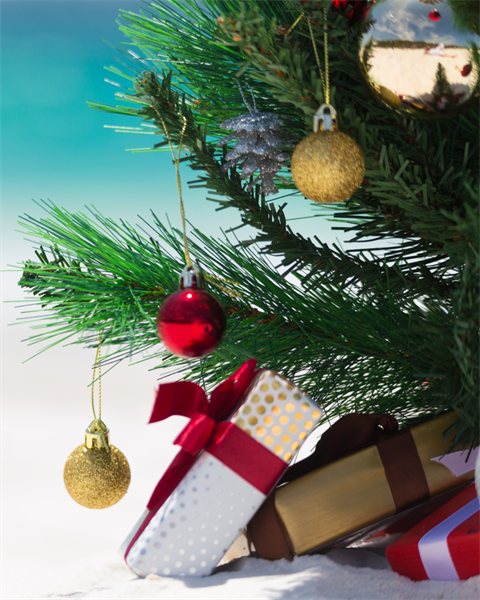 Winter Wonderland (1).png